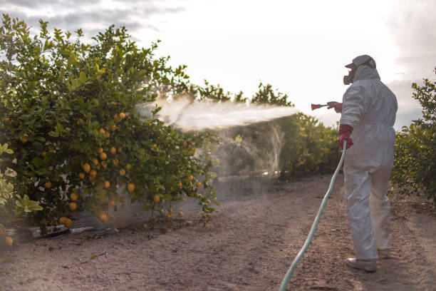 Flea Control Services in Lancaster, WI
