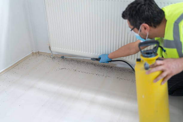 Best Ant Control Services  in Lancaster, WI