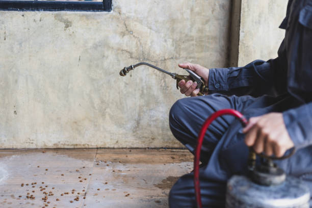 Best Residential Pest Control  in Lancaster, WI